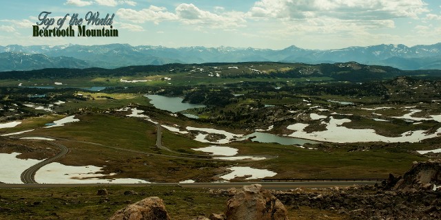 NEW Beartooth MT